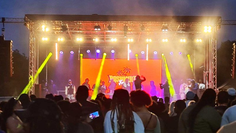 Made in the 90's festival